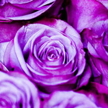 软件商城可靠的如何攻击网站